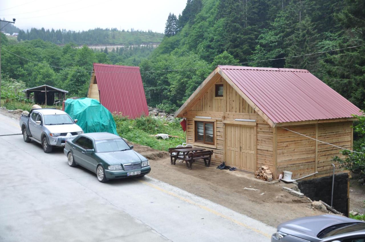 Lorant Dag Evleri Hotel Çamlıhemşin Exterior foto