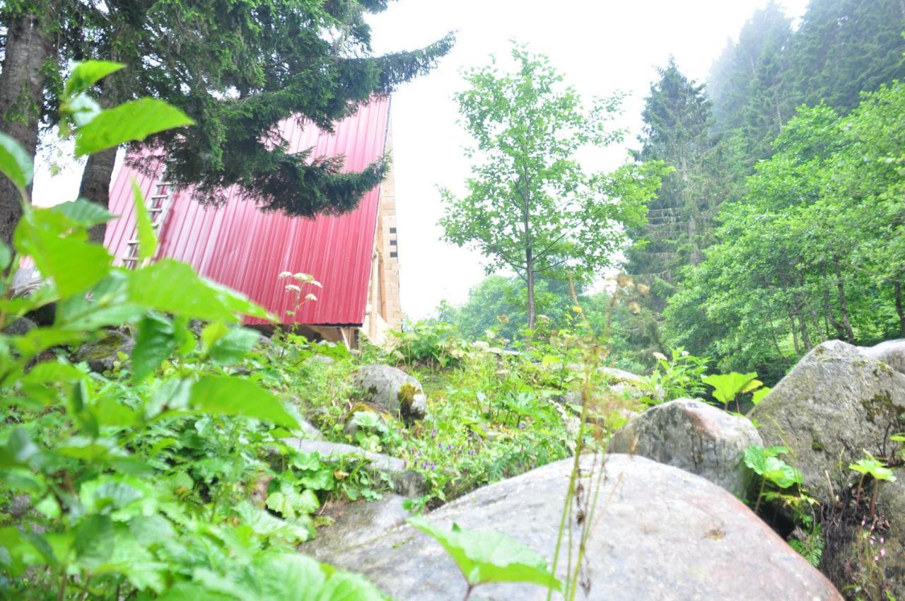 Lorant Dag Evleri Hotel Çamlıhemşin Exterior foto