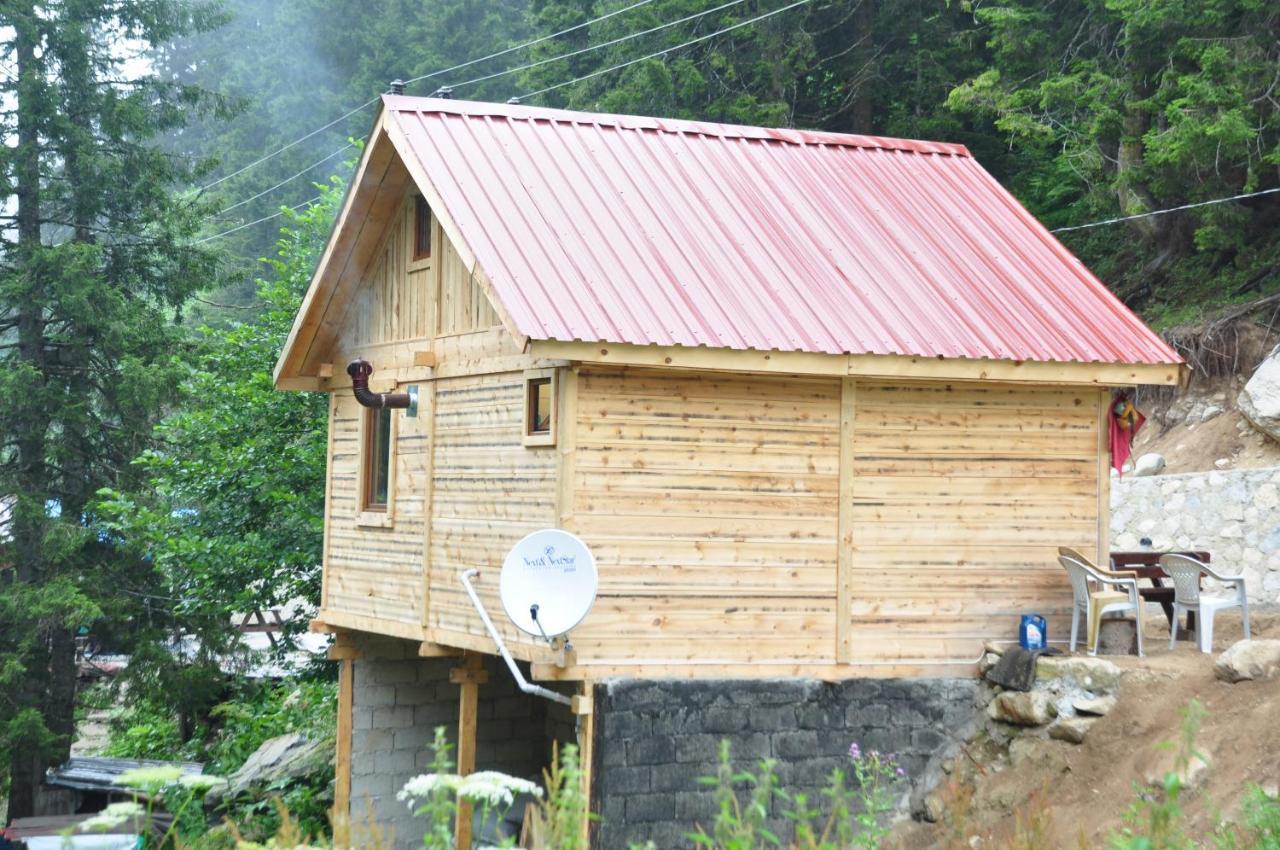 Lorant Dag Evleri Hotel Çamlıhemşin Exterior foto